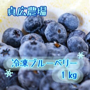冷凍ブルーベリー 500g×2パック(1kg)